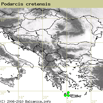 Podarcis cretensis, obsazené kvadráty podle mapování Balcanica.info