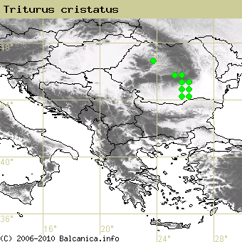Triturus cristatus, obsazené kvadráty podle mapování Balcanica.info