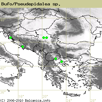 Bufo/Pseudepidalea sp., obsazené kvadráty podle mapování Balcanica.info