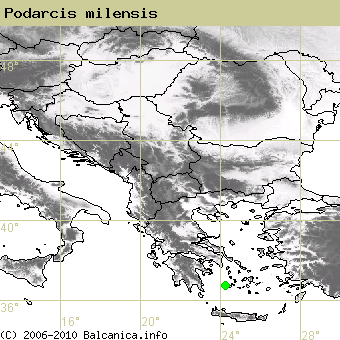 Podarcis milensis, obsazené kvadráty podle mapování Balcanica.info