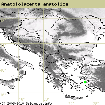 Anatololacerta anatolica, obsazené kvadráty podle mapování Balcanica.info