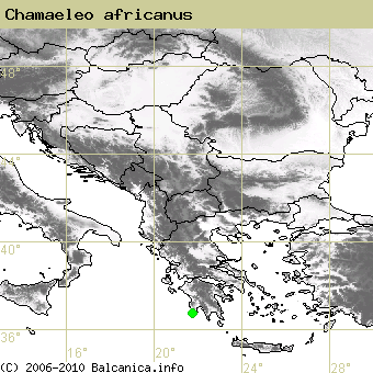 Chamaeleo africanus, obsazené kvadráty podle mapování Balcanica.info