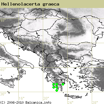 Hellenolacerta graeca, occupied quadrates according to mapping of Balcanica.info