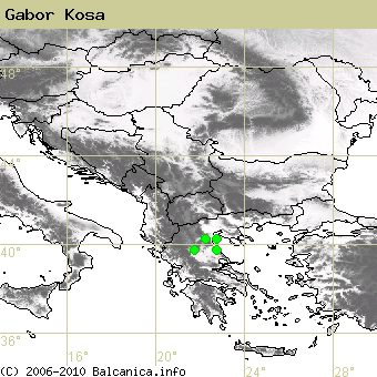 Gabor Kosa, obsazené kvadráty podle mapování Balcanica.info
