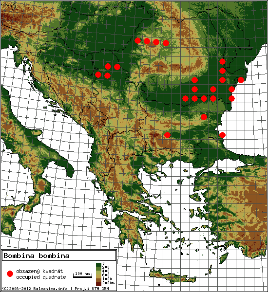 Bombina bombina - mapa všech obsazených kvadrátů, UTM 50x50 km