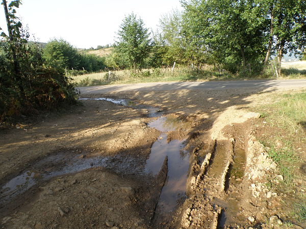 Berkovica, Berkovitsa