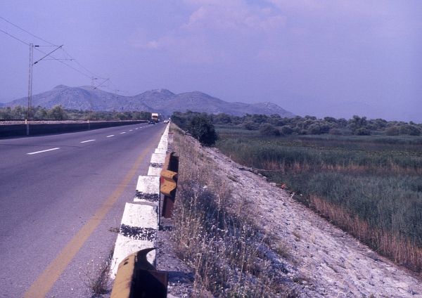 Skadarské jezero, Skadar lake