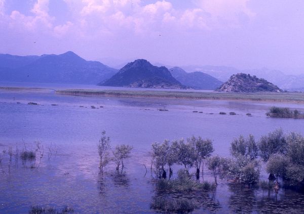 Skadarské jezero, Skadar lake