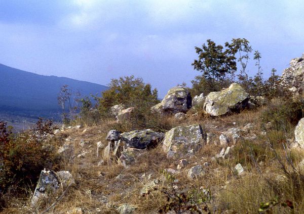 Primorsko