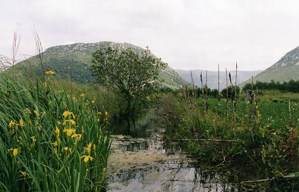 lokalita nezveřejněna