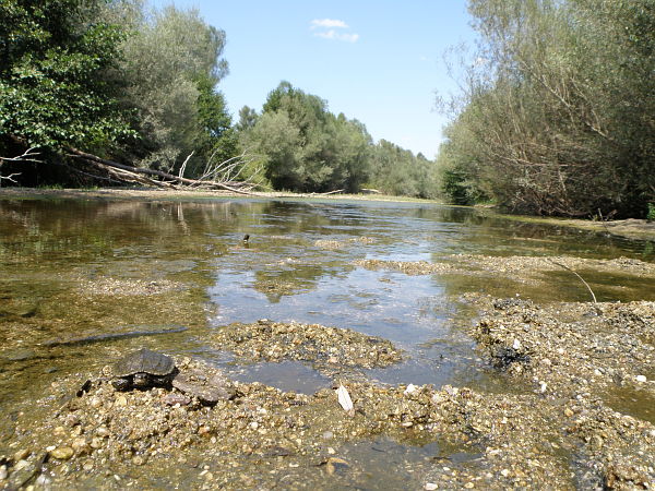 Mandrica, Mandritsa