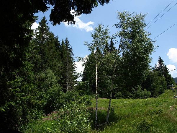 Vitosha, Витоша