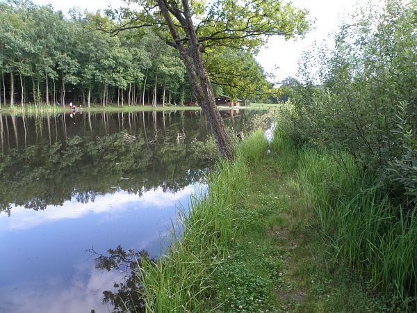 Bukovniško Jezero, Bukovnisko Jezero