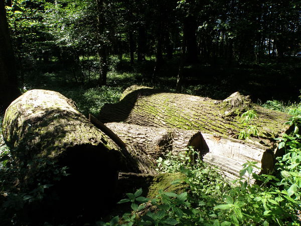 Murska Sobota,  Muraszombat,  Murska Subota