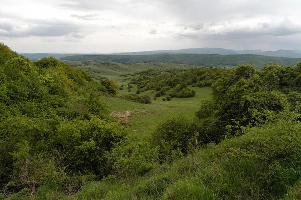 Căpuşu Mare, Capusu Mare, Capusul-Mare, Căpuşul-Mare