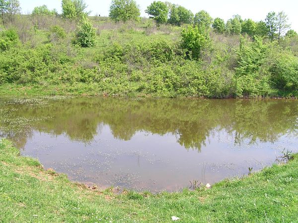 Lešnikovo, Leshnikovo