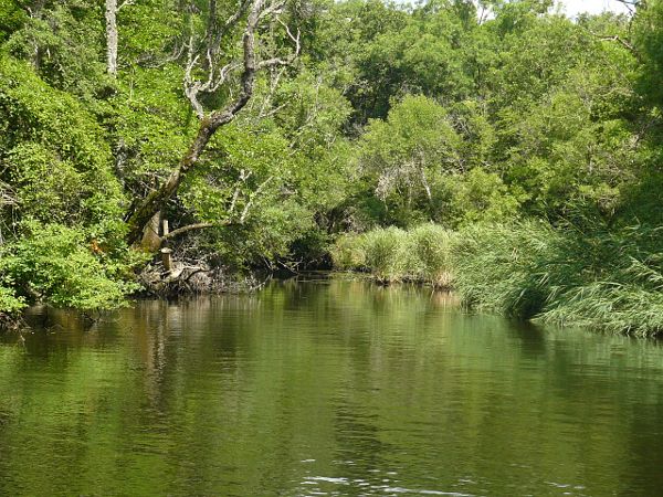 Ropotamo River, река Ропотамо