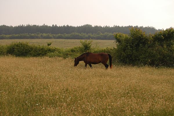 Achtopol