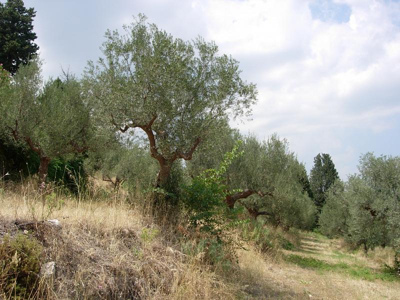 Mystras