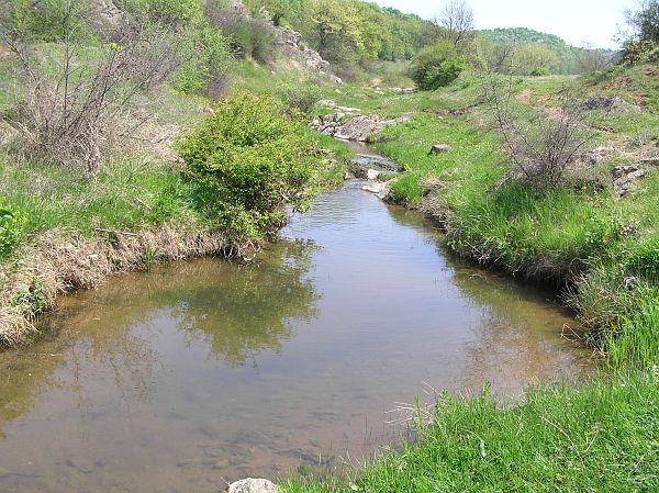 Lešnikovo, Leshnikovo