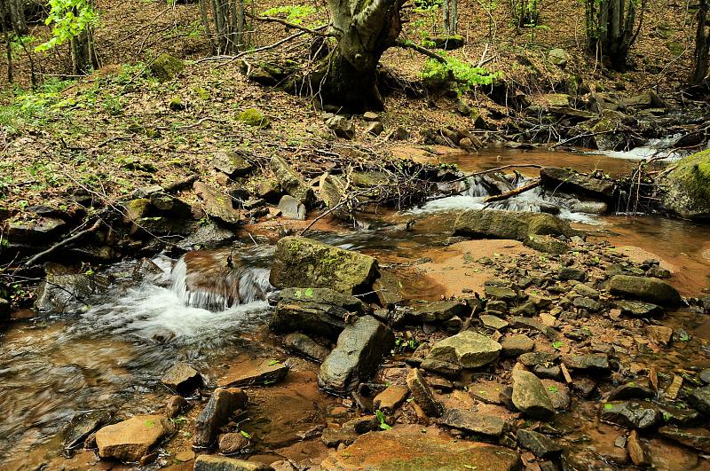 Stara Planina sedlo