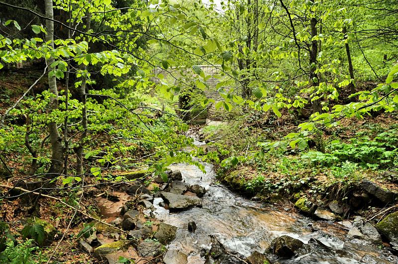 Stara Planina sedlo