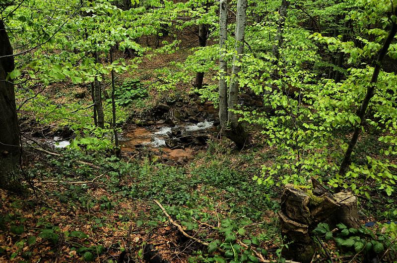 Stara Planina sedlo