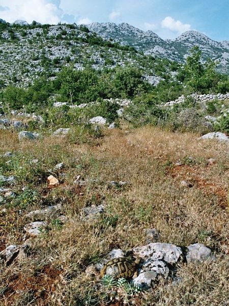 NP Paklenica, Paklenica NP