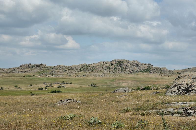 Kayalı, Kayali, Bedre