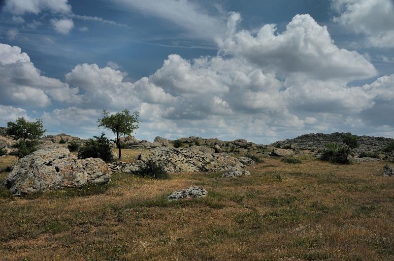 Kayalı, Kayali, Bedre