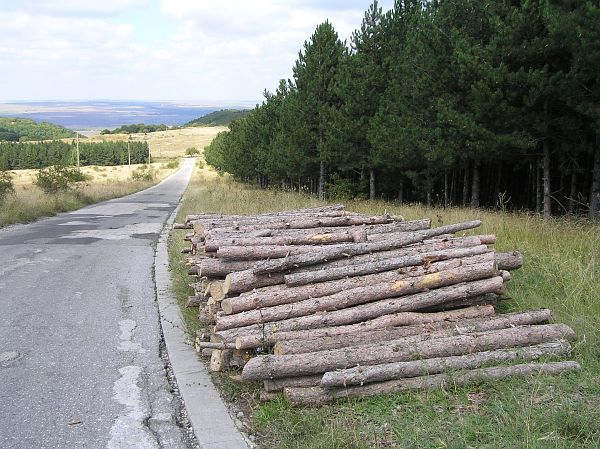 Šumen, Shumen