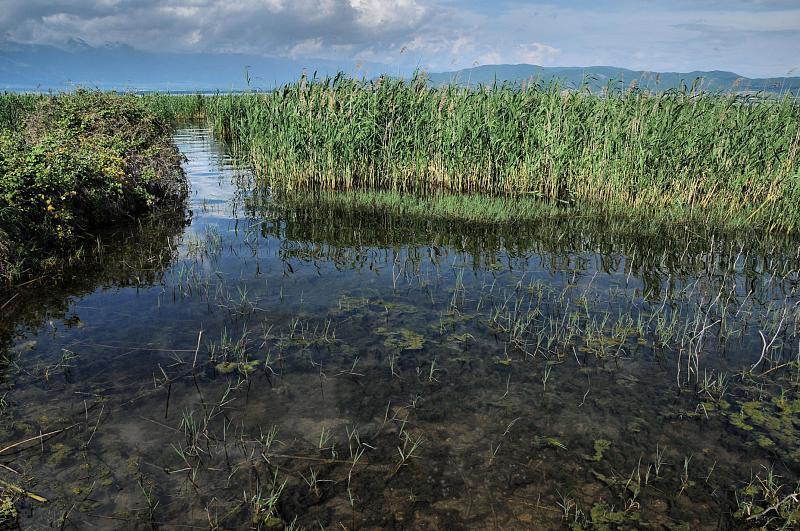 Star Dojran,  Doerane,  Dojran