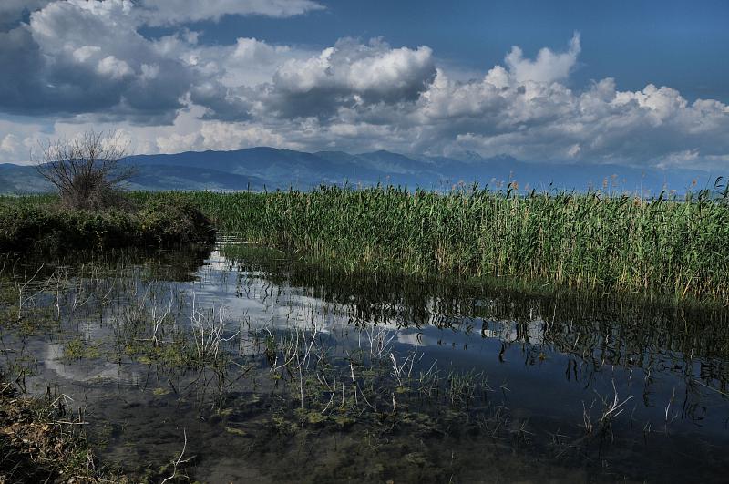 Star Dojran,  Doerane,  Dojran