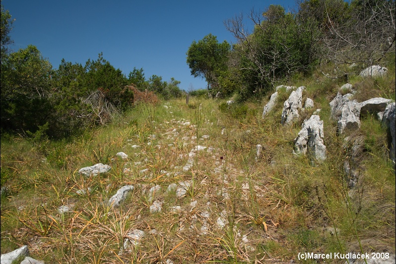 Otok Lastovo, Ile de Lastovo, Isola Lagosta, Isola di Lagosta, Lagosta Island, Lahosto, Lastovo, Ostrvo Lastovo, Île de Lastovo, Ластово