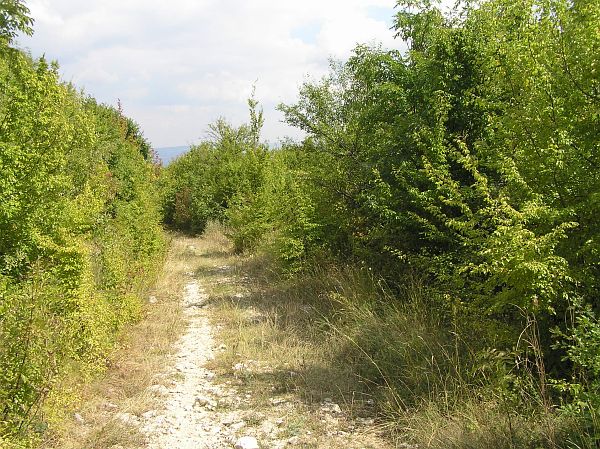 Šumen, Shumen