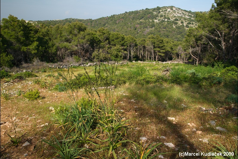 Dugi Otok,  Dugi,  Dugi Island