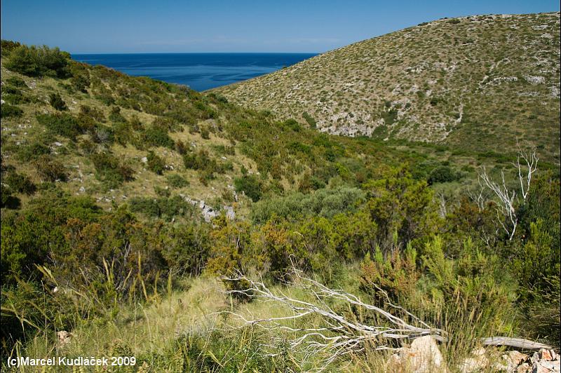 Dugi Otok, Dugi, Dugi Island, Dugi Otok Island, Dugi otok, Dugi-Otok, Grossa, Isola Lunga, Lunga, Ostrvo Dugi Otok, Дуги Оток, Дуги-Оток