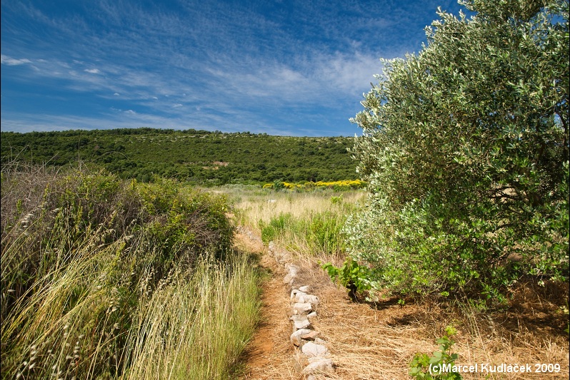 Dugi Otok,  Dugi,  Dugi Island