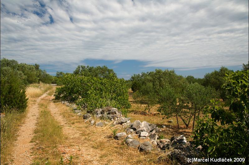 Dugi Otok,  Dugi,  Dugi Island