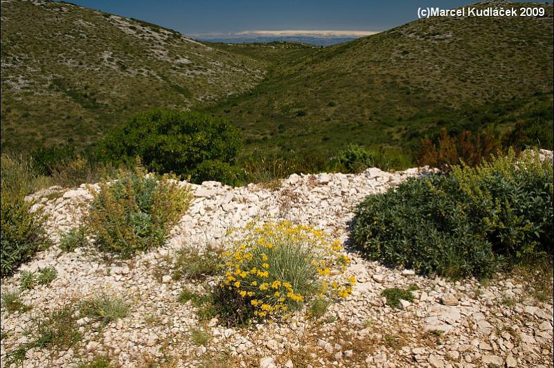 Dugi Otok,  Dugi,  Dugi Island