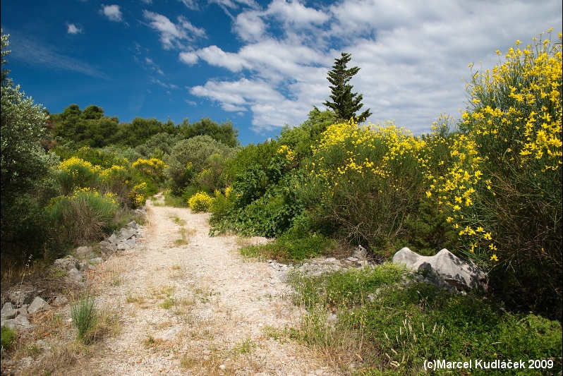 Dugi Otok, Dugi, Dugi Island, Dugi Otok Island, Dugi otok, Dugi-Otok, Grossa, Isola Lunga, Lunga, Ostrvo Dugi Otok, Дуги Оток, Дуги-Оток