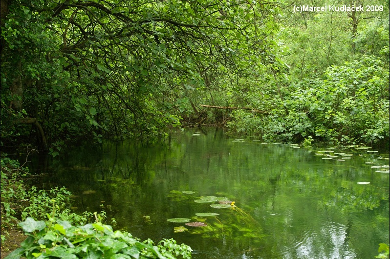 Krka,  Cherca,  Gurk