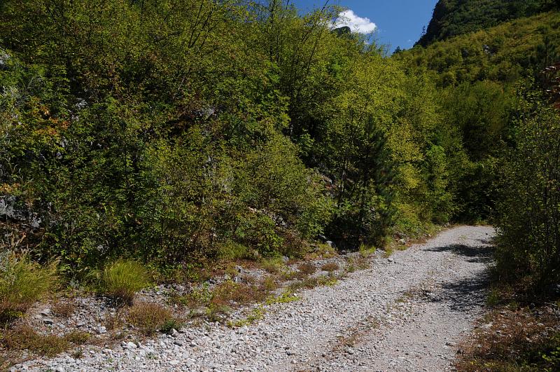 Tjentište, Tjentiste (NP Sutjeska)