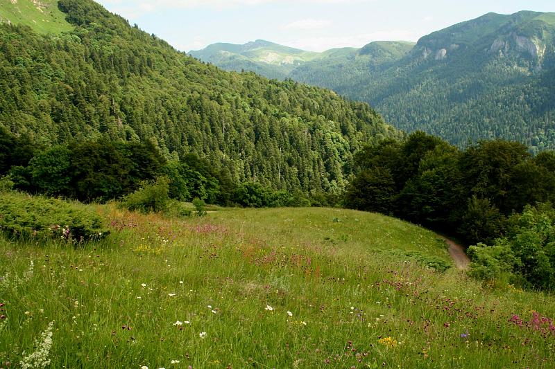 Biogradska Gora