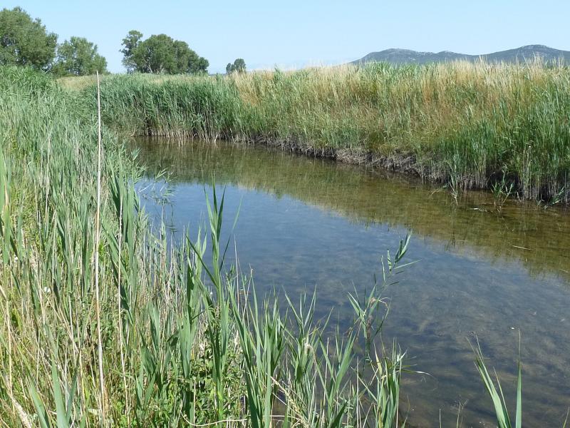 Vransko Jezero, Lago di Vrana, Vranjsko Jezero