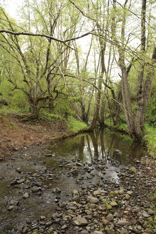 Akhtopol,  Achtepol,  Achtopol