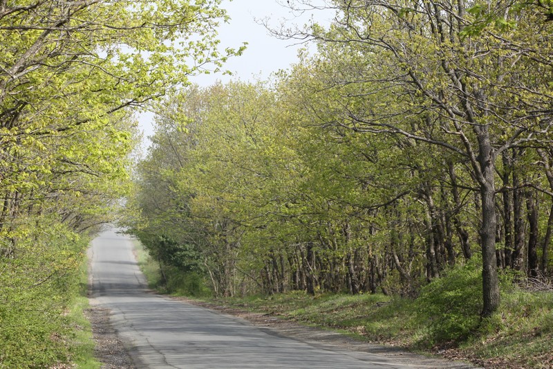 Akhtopol,  Achtepol,  Achtopol