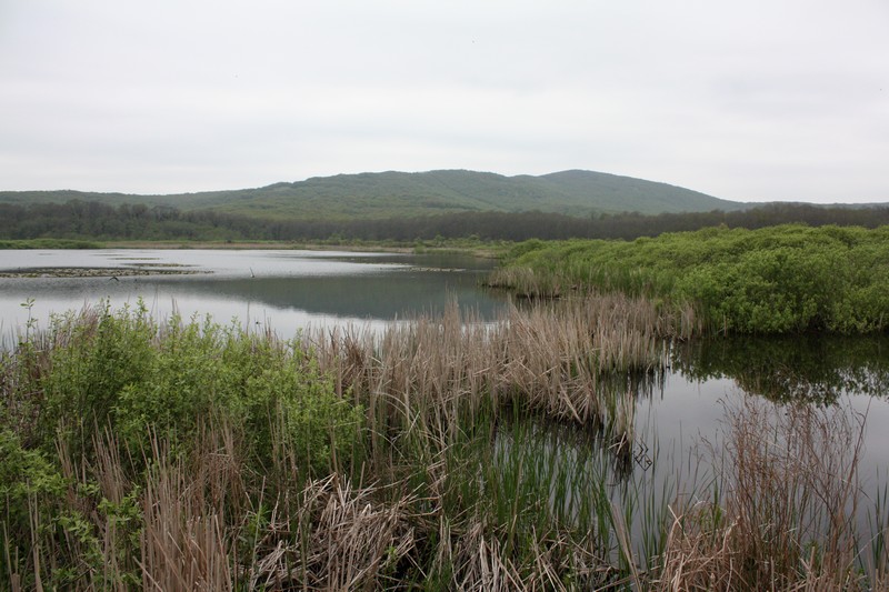 Arkutino, Аркутино