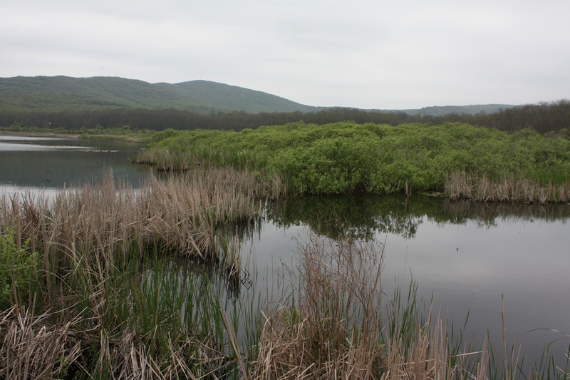 Arkutino, Аркутино