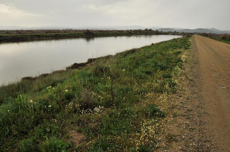 Evros delta